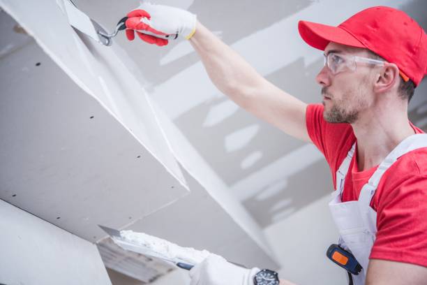 Best Ceiling Drywall Installation  in Tishomingo, OK